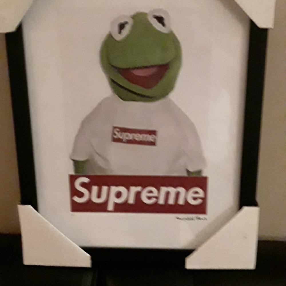 COPY -  - Supreme x Kermit the Frog Urban Street